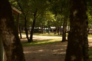 Kleine camping bij Nederlanders in Zuid Frankrijk met prive sanitair