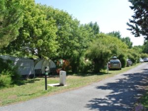 Ile de Ré camping met zwembad en restaurant